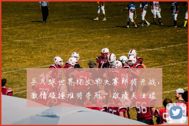 乒乓球世界杯女单决赛即将开战，激情碰撞谁将夺冠，敬请关注逗